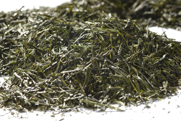 Japan Gyokuro Asahi "Gold Edition" - Frisch, feinherb, fruc…